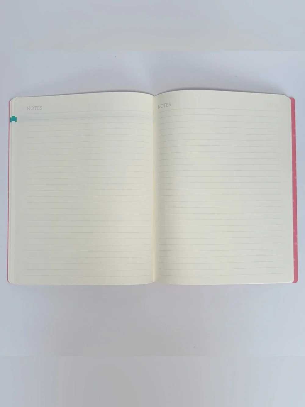2026-2027 Clementine Paper inc. 17-month Large Size Planner (Pink/Florals)
